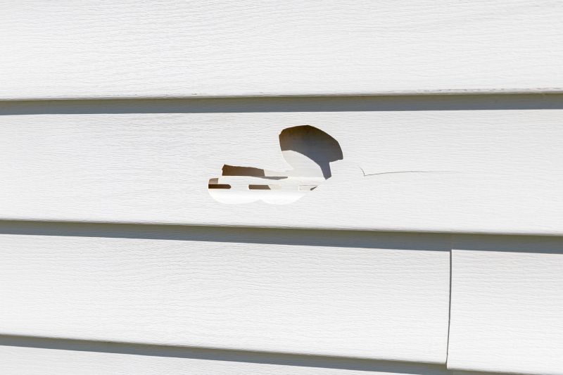 Vinyl Siding Repair And Installation