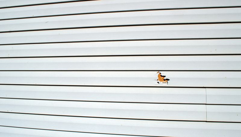 Vinyl Siding Repair And Installation