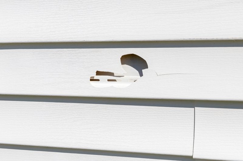 Seamless Vinyl Siding Patch